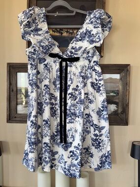 Blue Floral Ruffle Mini Dress with Velvet Tie NWT M